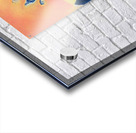 727 8K Acrylic print