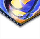 748 8K Acrylic print