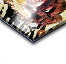 756 8K Acrylic print