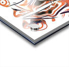 767 8K Acrylic print