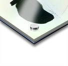 751 8K Acrylic print