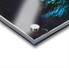 772 8K Acrylic print