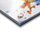 780 8K Acrylic print