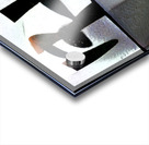 817 8K Acrylic print