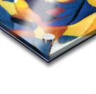 830 8K Acrylic print