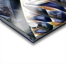 813 8K Acrylic print