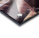 816 8K Acrylic print