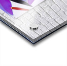 877 8K Acrylic print