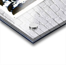 890 8K Acrylic print