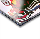 902 8K Acrylic print