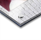 942 8K Acrylic print