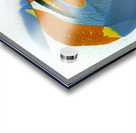 924 8K Acrylic print