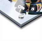 1017 8K Acrylic print