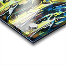 1004 8K Acrylic print