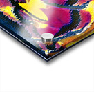 1010 8K Acrylic print