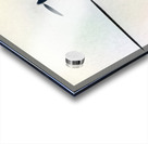 1018 8K Acrylic print