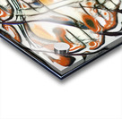 1102 8K Acrylic print