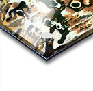 1098 8K Acrylic print