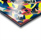 1135 8K Acrylic print