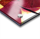 1137 8K Acrylic print