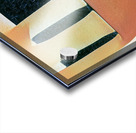 1144 8K Acrylic print