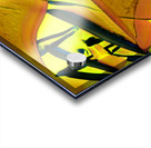 1215 8K Acrylic print