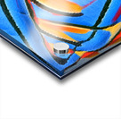 1248 8K Acrylic print