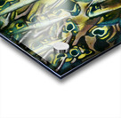 1289 8K Acrylic print