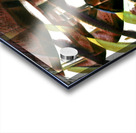 1271 8K Acrylic print