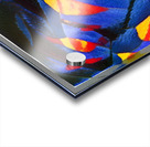 1272 8K Acrylic print