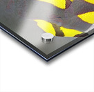 1325 8K Acrylic print