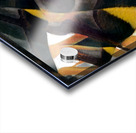 1330 8K Acrylic print