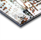 1348 8K Acrylic print