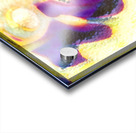 1362 8K Acrylic print