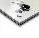 1366 8K Impression Acrylique