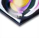 1368 8K Acrylic print