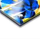 1353 8K Acrylic print