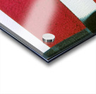 1358 8K Acrylic print