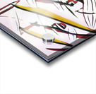 1394 8K Acrylic print