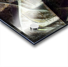 1446 8K Acrylic print