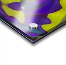 1469 8K Acrylic print