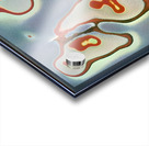 1491 8K Acrylic print