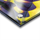 1529 8K Acrylic print