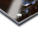 1533 8K Acrylic print