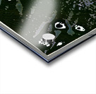 1540 8K Acrylic print