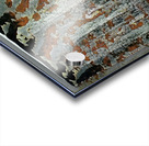 1551 8K Acrylic print