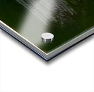 1554 8K Acrylic print