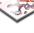 1604 8K Acrylic print