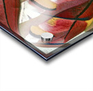 1602 8K Acrylic print