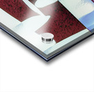 1617 8K Acrylic print